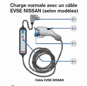 cable_EBSE-NISSAN.jpg