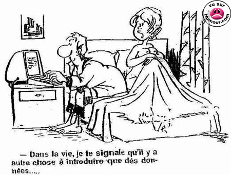 Insertion de données...
